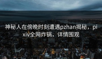 神秘人在傍晚时刻遭遇pzhan揭秘，pixiv全网炸锅，详情围观