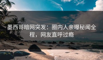 墨西哥暗网突发：圈内人亲曝秘闻全程，网友直呼过瘾