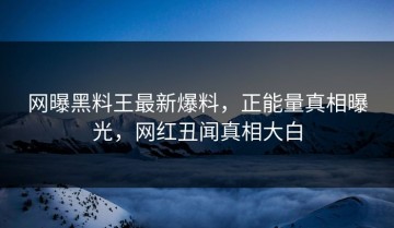 网曝黑料王最新爆料，正能量真相曝光，网红丑闻真相大白