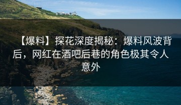 【爆料】探花深度揭秘：爆料风波背后，网红在酒吧后巷的角色极其令人意外