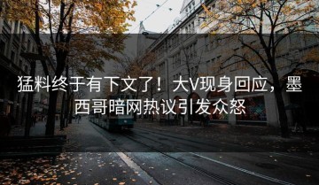 猛料终于有下文了！大V现身回应，墨西哥暗网热议引发众怒