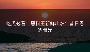 吃瓜必看！黑料王新鲜出炉：昔日恩怨曝光