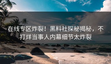 在线专区炸裂！黑料社探秘揭秘，不打烊当事人内幕细节太炸裂