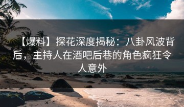 【爆料】探花深度揭秘：八卦风波背后，主持人在酒吧后巷的角色疯狂令人意外