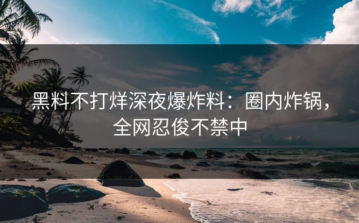 黑料不打烊深夜爆炸料：圈内炸锅，全网忍俊不禁中