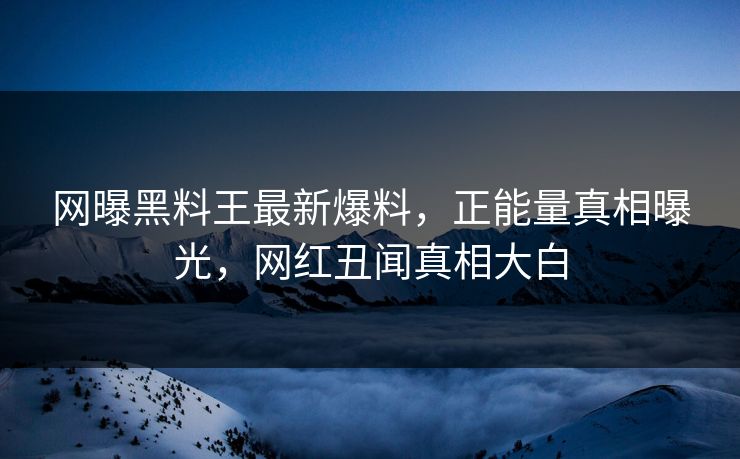 网曝黑料王最新爆料，正能量真相曝光，网红丑闻真相大白