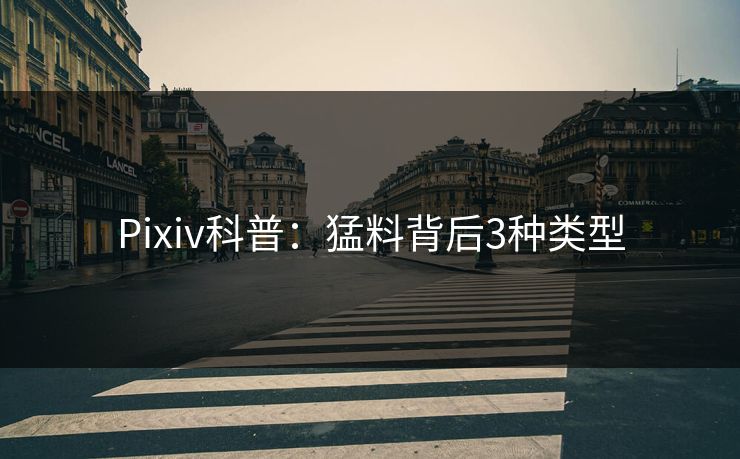 Pixiv科普：猛料背后3种类型
