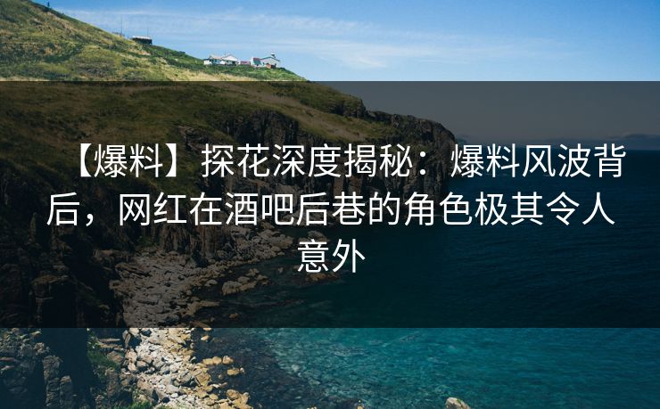 【爆料】探花深度揭秘：爆料风波背后，网红在酒吧后巷的角色极其令人意外