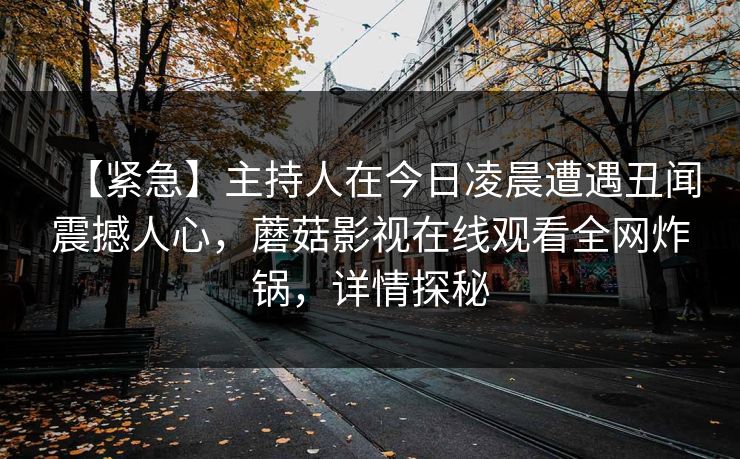 【紧急】主持人在今日凌晨遭遇丑闻震撼人心，蘑菇影视在线观看全网炸锅，详情探秘
